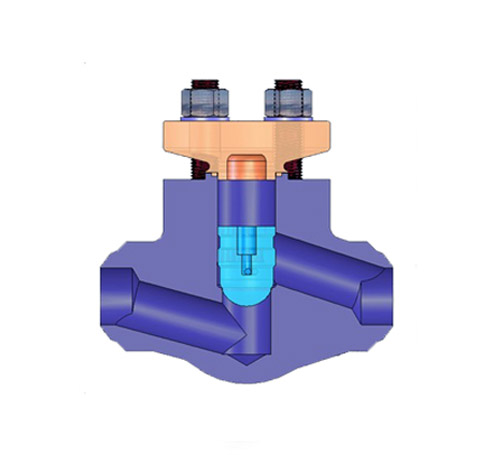 Nuclear Check Valve Of Power Station